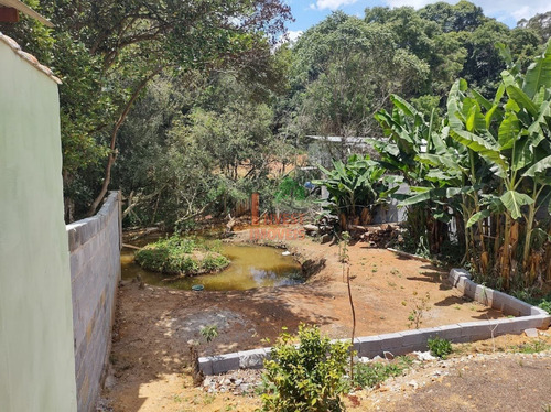 Imagem 5 de 14 de Chacara - Ref: 7097 - V-7097