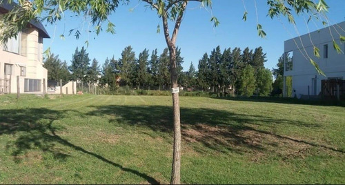 Imagen 4 de 4 de Susana Aravena Propiedades Terreno - San Benito