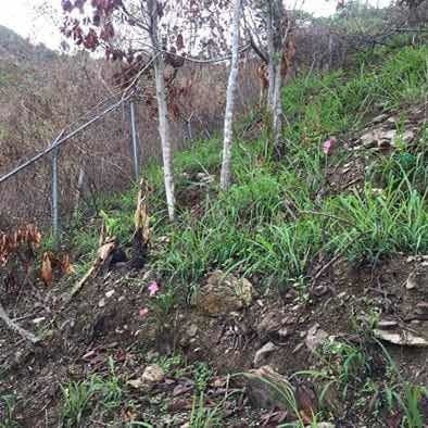 Imagen 8 de 8 de Terreno El Tigrito 349mtrs Con Cerca Del Alfajor