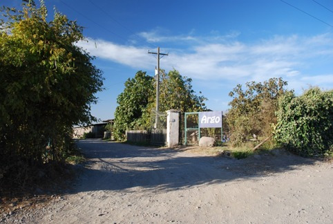 Agrícola Frutícola En Venta En Chimbarongo