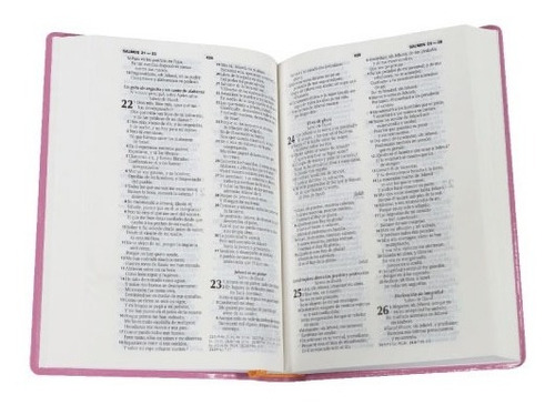 Imagen 2 de 3 de Biblia Económica Pc Color Rosa Reina Valera 1960