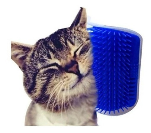 Escova Massageadora Parede Para Gatos + Catnip Erva De Gato