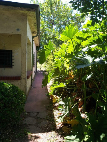 Imagen 5 de 25 de Chalet 3 Amb Amplio A Reciclar- Lote 880 M2 - V.ballester