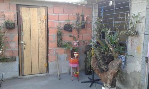 Imagem 13 de 14 de Chácara Com 1 Dormitório Em Itanhaém