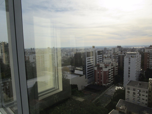 Imagem 6 de 11 de Sala Comercial Bairro Bela Vista - 3528
