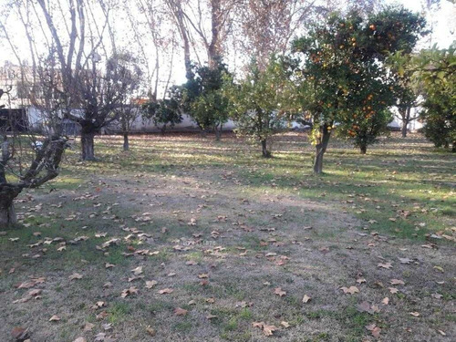 Imagen 2 de 6 de Terreno Pleno Centro Isla De Maipo