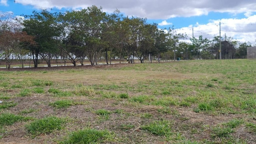 Imagem 3 de 30 de Terreno À Venda, 300 M² Por R$ 127.100,01 - Residencial Fazenda Pinheirinho - Rio Das Pedras/sp - Te0405