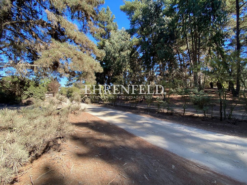 Terreno Construccion En Venta En Viña Del Mar
