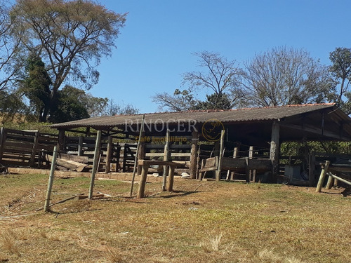 Imagem 21 de 30 de Temporada Em Ibiraci - Mg - Ot0006_rncr