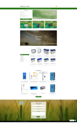 Imagen 4 de 10 de Diseño Paginas Web Tienda Informativas Profesional .cl .com