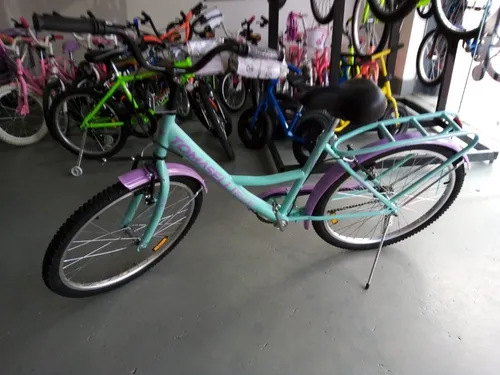 Bicicleta Tomaselli Rodado 24 Lady Canasta Guardab Cordoba