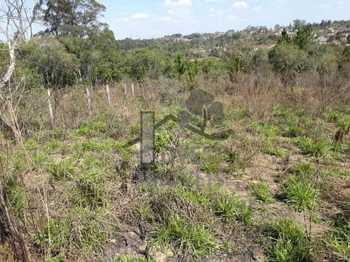 Imagem 2 de 6 de Cód 2804 - Terreno De 1.600 M² Com Excelente Localização! - 2804