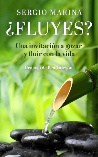 Libro: ¿fluyes?. Marina Alvaro,sergio. Editorial Canal De Di