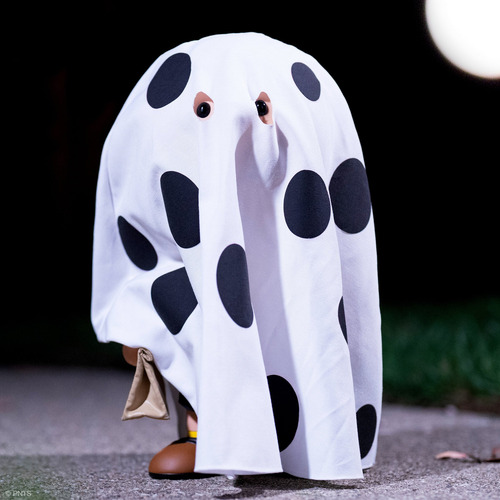 Charlie Brown (ghost Sheet) Super 7 Peanuts Supersize