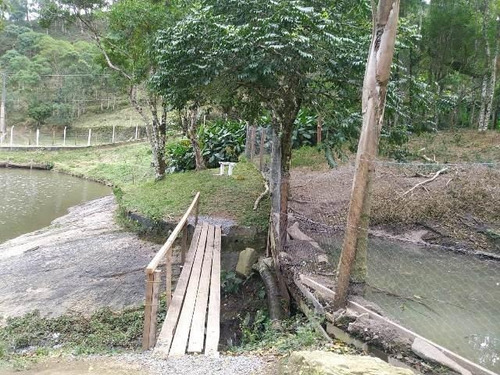 Imagem 11 de 15 de Cod 4463 - Sitio Das Águas - 4463