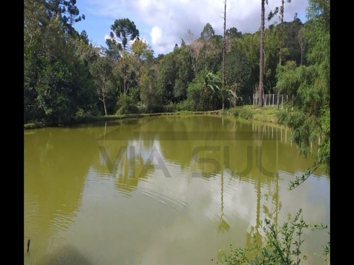 Imagem 9 de 15 de Chácara Em Formação, Com Lindo Lago Cheio De Peixes. Excelente Para Lazer!! - 405 - 70066716