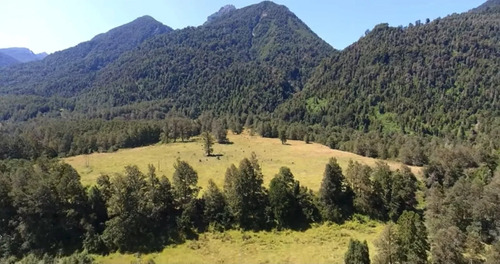 667 Hectáreas De Puro Sur De Chile: Tu Pedazo De Patagonia S