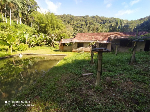 Imagem 24 de 24 de Sítio Com 03 Lagos, Nascentes, Fogão A Lenha, Churrasqueira, Árvores Frutíferas Sendo 70 Pés De Lichia, 150 Pés De Pitaia, No Bairro Faú Em Miracatu, Com 38.000 M² De Área Total Ref: Ch132/ac