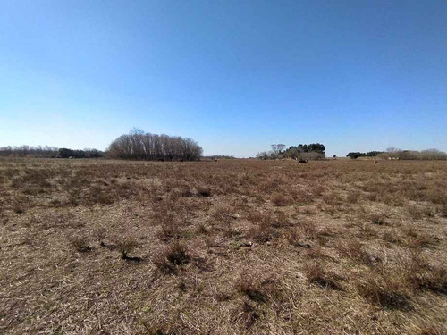 Imagen 4 de 6 de Campo En Venta En Victoria
