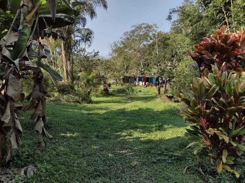 Imagem 14 de 14 de Sitio Medindo 12 Alqueires Com Cachoeira Particular