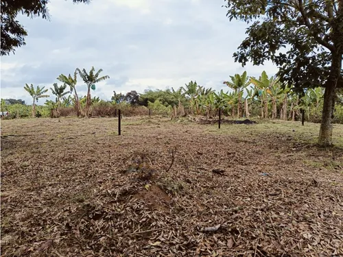Se Venden Lotes En Quimbaya - Quindío