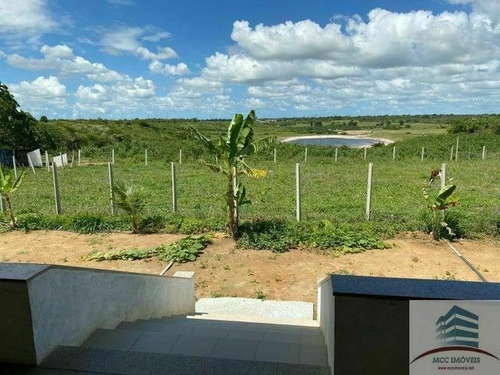 Imagem 5 de 10 de Granja A Venda Em Macaíba