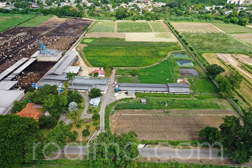 Imagen 1 de 29 de Granja Agrícola Y Porcina Turmero, De 5.7 Hectáreas 04123465023