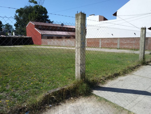 Lote - Sobre Avenida Comercial