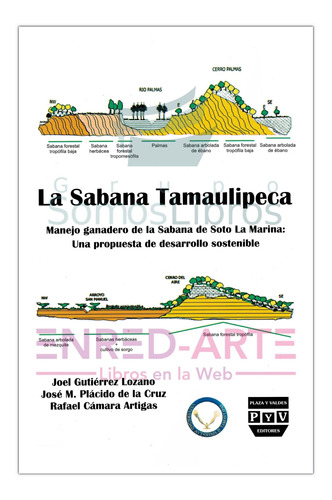 La Sabana Tamaulipeca, Manejo Ganadero De La Sabana De Soto 