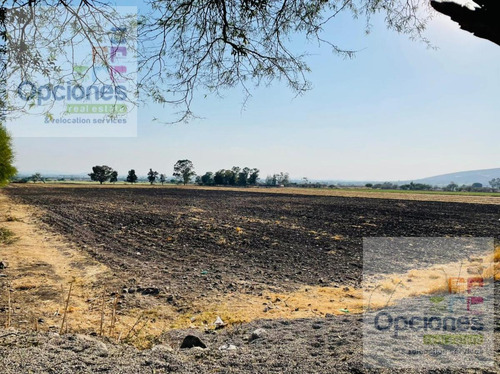 Imagen 2 de 7 de Terreno - Congregacion La Ordeña