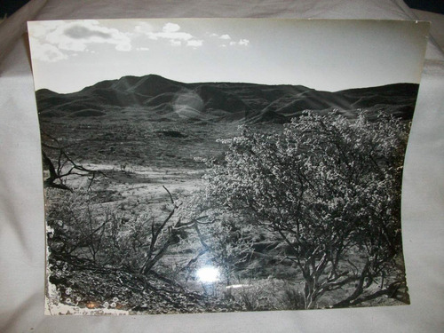Impresión Antigua Foto Ori Arte Coleccion Jose Maria Cruxent