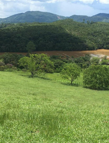 Imagem 9 de 14 de G15 - Lotes De 10.000mts Grande Oportunidade De Lançamento.