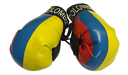 Bandera Mini Pequeñas Guantes De Boxeo Para Colgar Sobre Aut