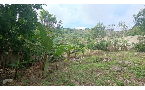 Se Vende Terreno En La Arboleda. Ve22-091arb-yceg