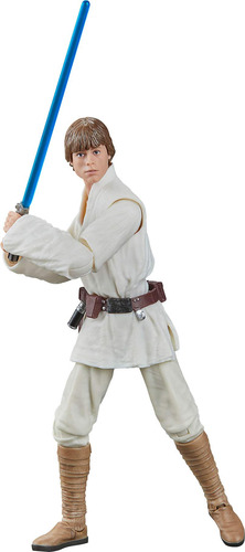 Luke Skywalker - Black Series