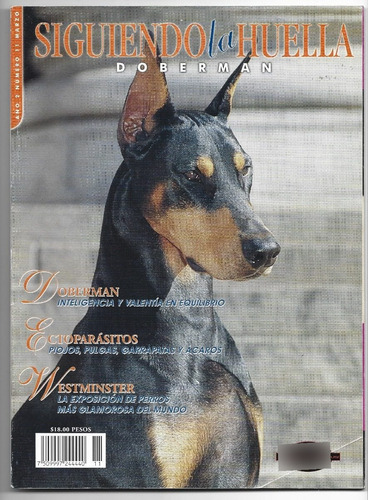 Siguiendo La Huella Doberman Pinscher Perros Dogs Marzo 2001