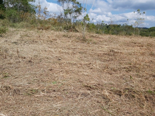 Chácara Em Pariquera-açu