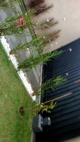 Imagem 14 de 30 de Casa A Venda No Bairro Centro Em Campinas - Sp. - 762-1