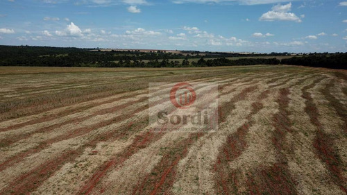 Imagem 14 de 20 de Fazenda À Venda, 4400000 M² Por R$ 22.000.000,00 - Zona Rural - Prata/mg - Fa0109