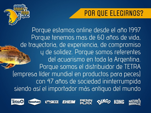 Kong Extreme Goodie Ribbon Medium - Juguetes Para Perros