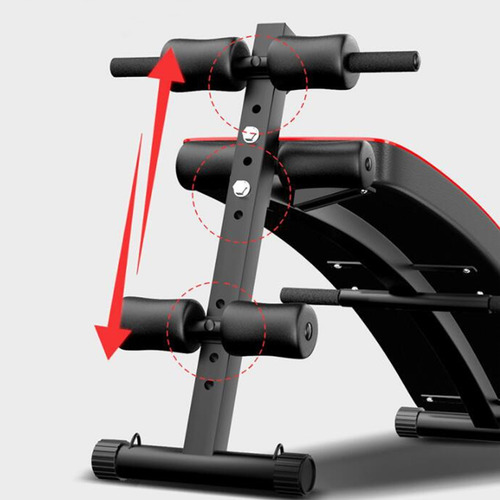 Banca Camilla Gym Abdominales Bandas Elásticas Ejercicios