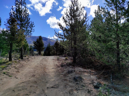 Imagen 3 de 4 de Terreno En Venta Ñirihuau - Bariloche