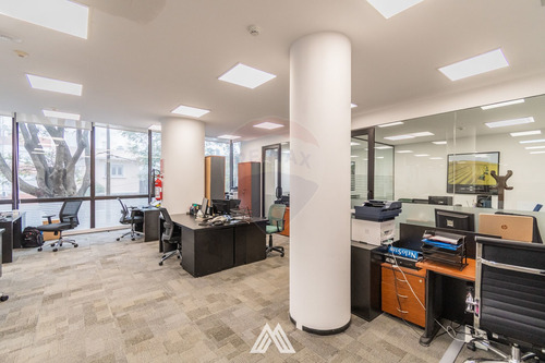 Imagen 8 de 15 de Venta Con Renta En Usd - 5,5 % - Local / Oficina