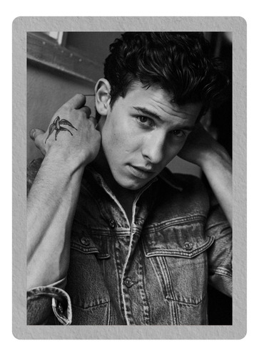 Poster Shawn Mendes 50x70cm