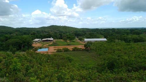 Luisa Mezones Vende Finca Operativa Edo. Cojedes Via Acarigua 145has