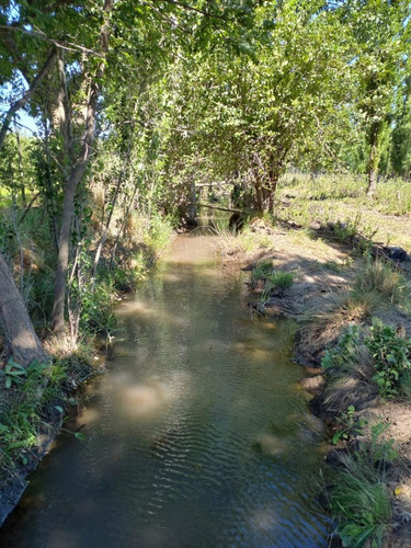 Imagen 7 de 8 de En Venta Chacra General Conesa 6 Hectareas