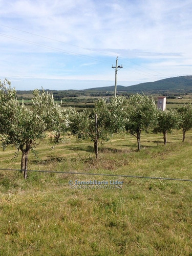 Chacras De 5 Has Al Pie Del Cerro Pan De Azúcar.
