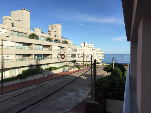 Imagen 5 de 5 de Alquilo Apartamento Por Invierno (marzo A Noviembre), 1 Dormitorio, Península, Punta Del Este. - Punta Del Este Peninsula