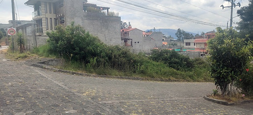Imagen 5 de 13 de Terreno Urbanizacion El Manantial