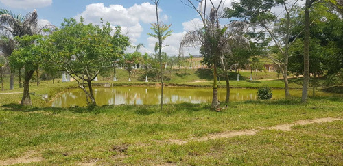 Imagem 7 de 14 de Terrenos De 1000m² A 3000m² A Partir De R$ 49.999 À Vista